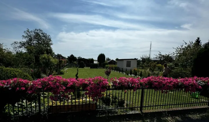 Działka rod Kolonia Skarszewek