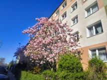Mieszkanie 2-pokojowe Szczecin Pomorzany, ul. Xawerego Dunikowskiego. Zdjęcie 1
