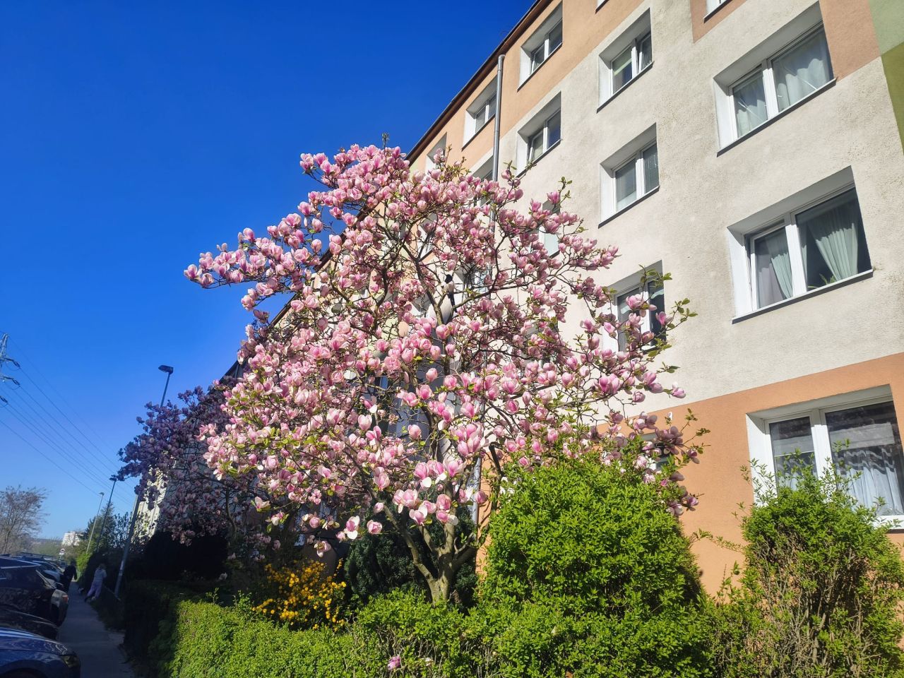 Mieszkanie 2-pokojowe Szczecin Pomorzany, ul. Xawerego Dunikowskiego. Zdjęcie 2
