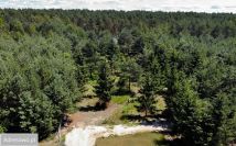 Działka rekreacyjna Borsuki-Kolonia. Zdjęcie 2