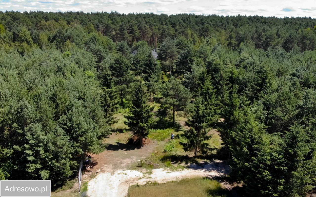 Działka rekreacyjna Borsuki-Kolonia. Zdjęcie 3