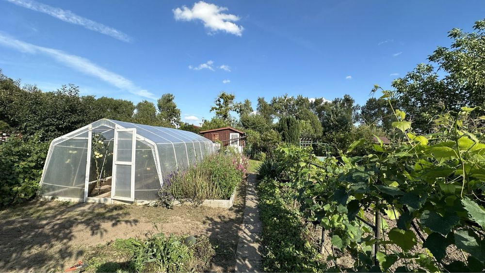 Działka rod Bierutów. Zdjęcie 6