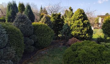 Działka rod Łaziska Górne Łaziska Średnie, ul. Wyrska