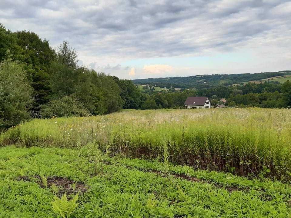 Działka budowlana Bistuszowa