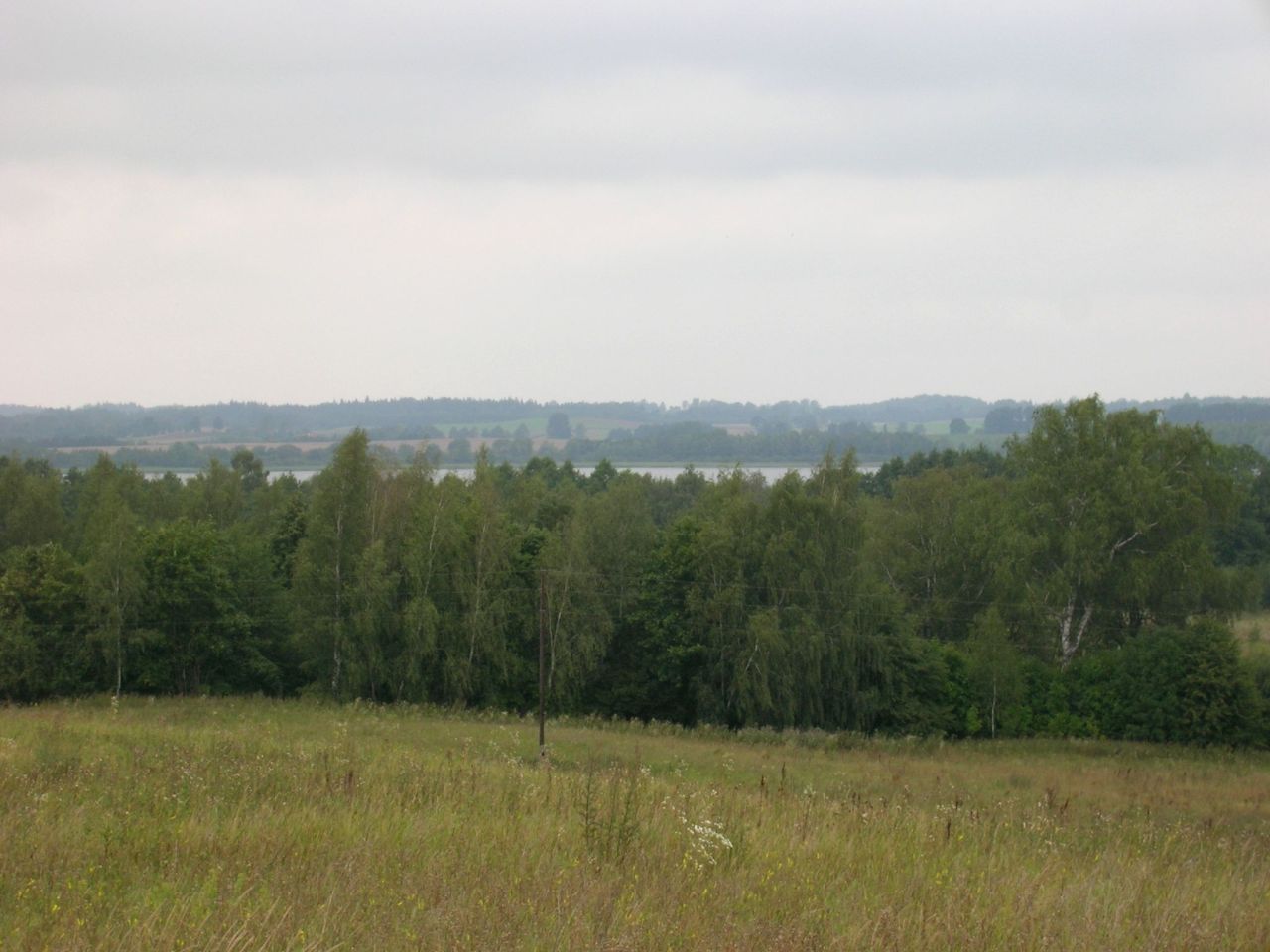 Działka siedliskowa Kikity. Zdjęcie 6