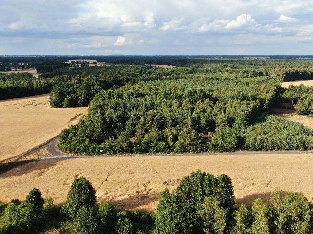 Działka budowlana Czarnybród. Zdjęcie 6