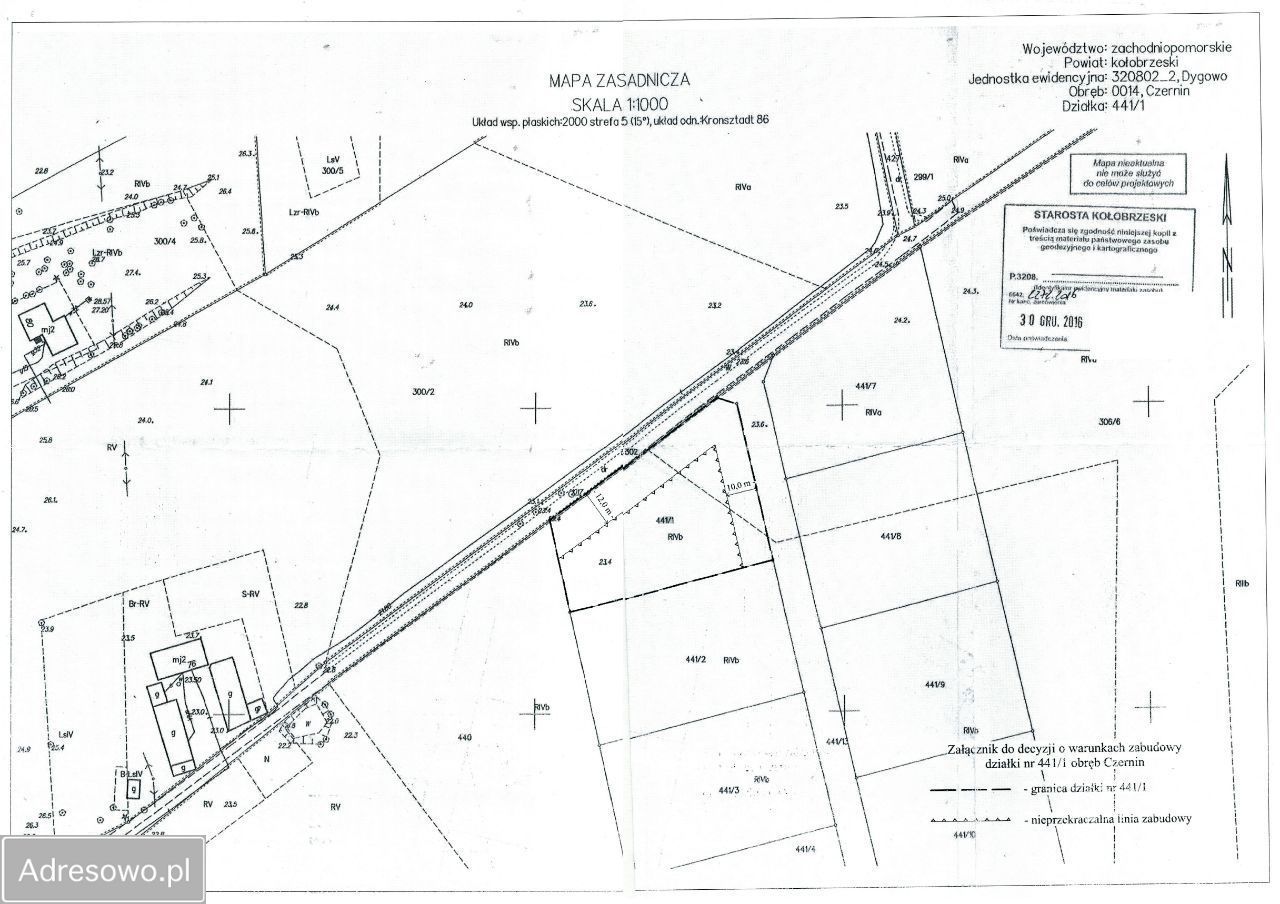 Działka siedliskowa Czernin. Zdjęcie 4