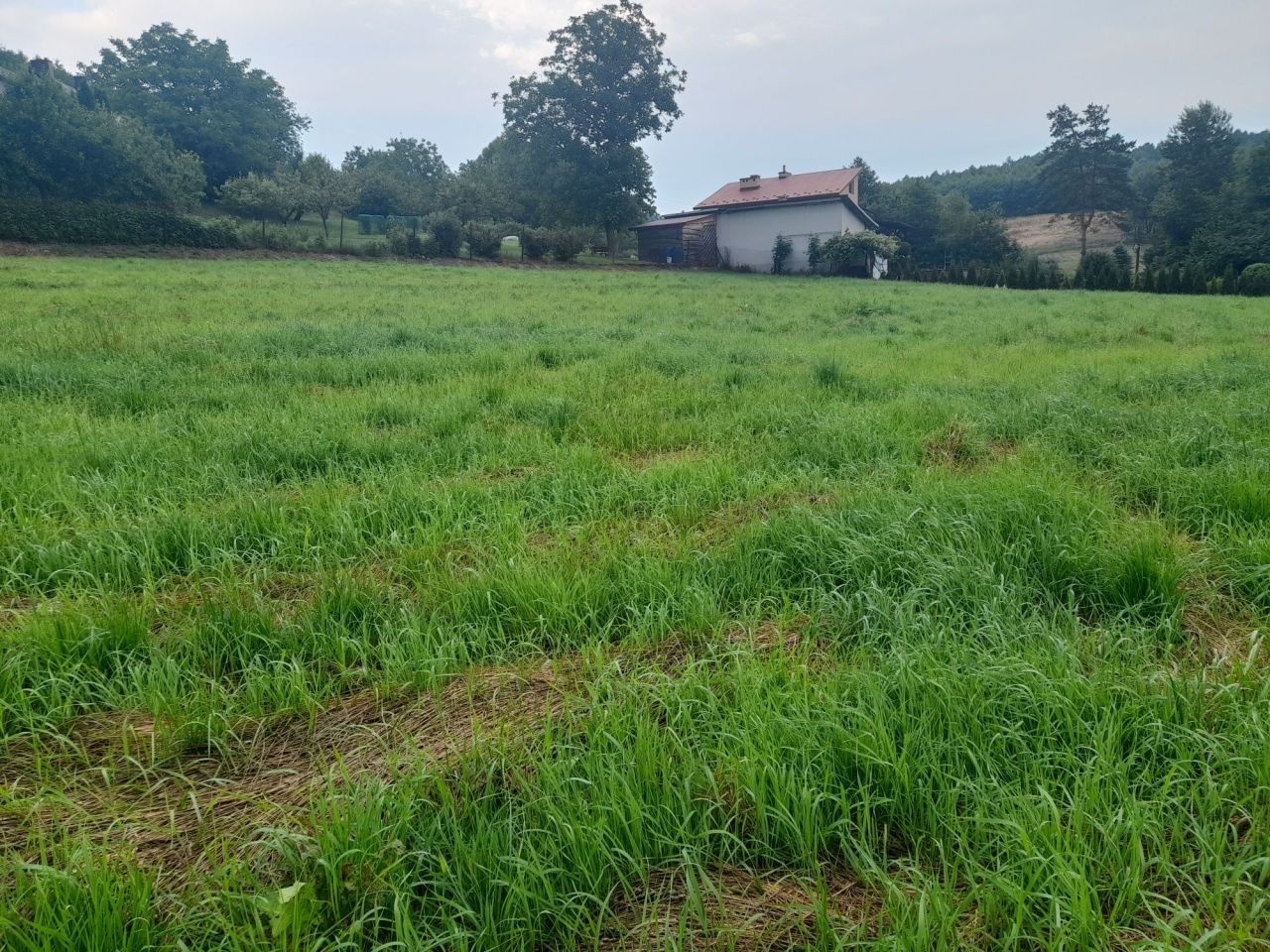 Działka budowlana Żarnowa. Zdjęcie 3