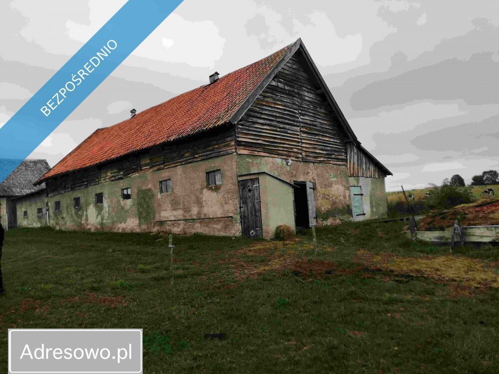 siedlisko Gawliki Wielkie. Zdjęcie 14