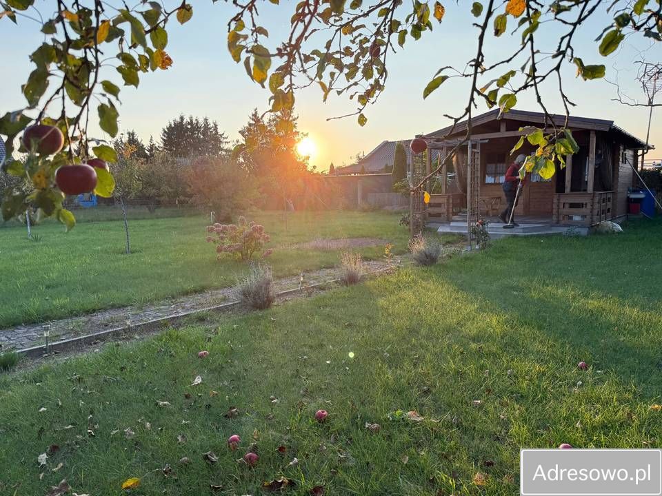 Działka rod Międzychód. Zdjęcie 3