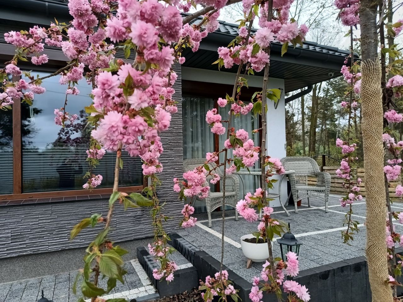 dom wolnostojący Skrzeszew. Zdjęcie 7