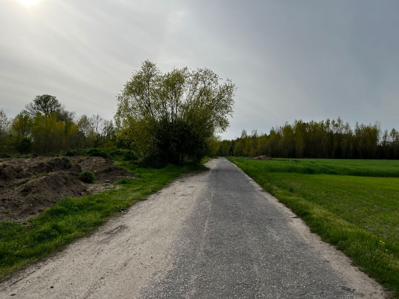 Działka rolna Kolsko, Kolsko. Zdjęcie 4