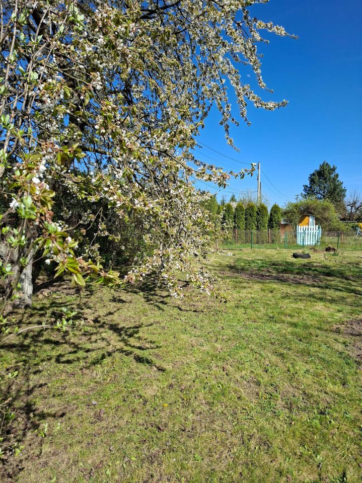 Działka rod Krzeszowice, ul. Działkowa. Zdjęcie 6