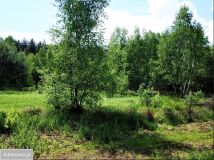 Działka budowlana Osęczyzna. Zdjęcie 1