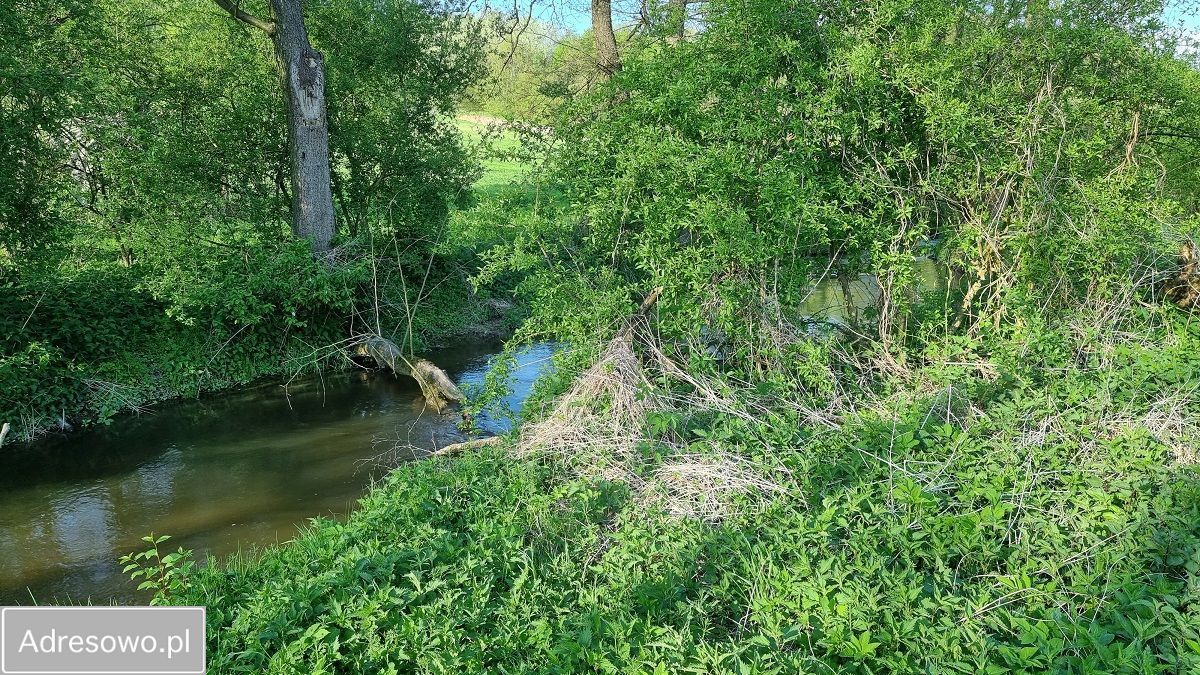 Działka rolna Łąki. Zdjęcie 9
