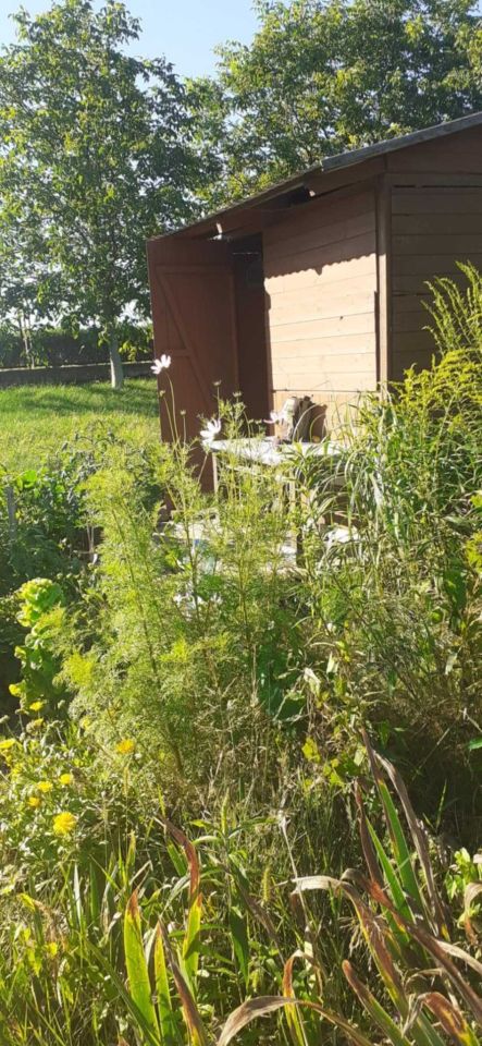 Działka rekreacyjna Lublin