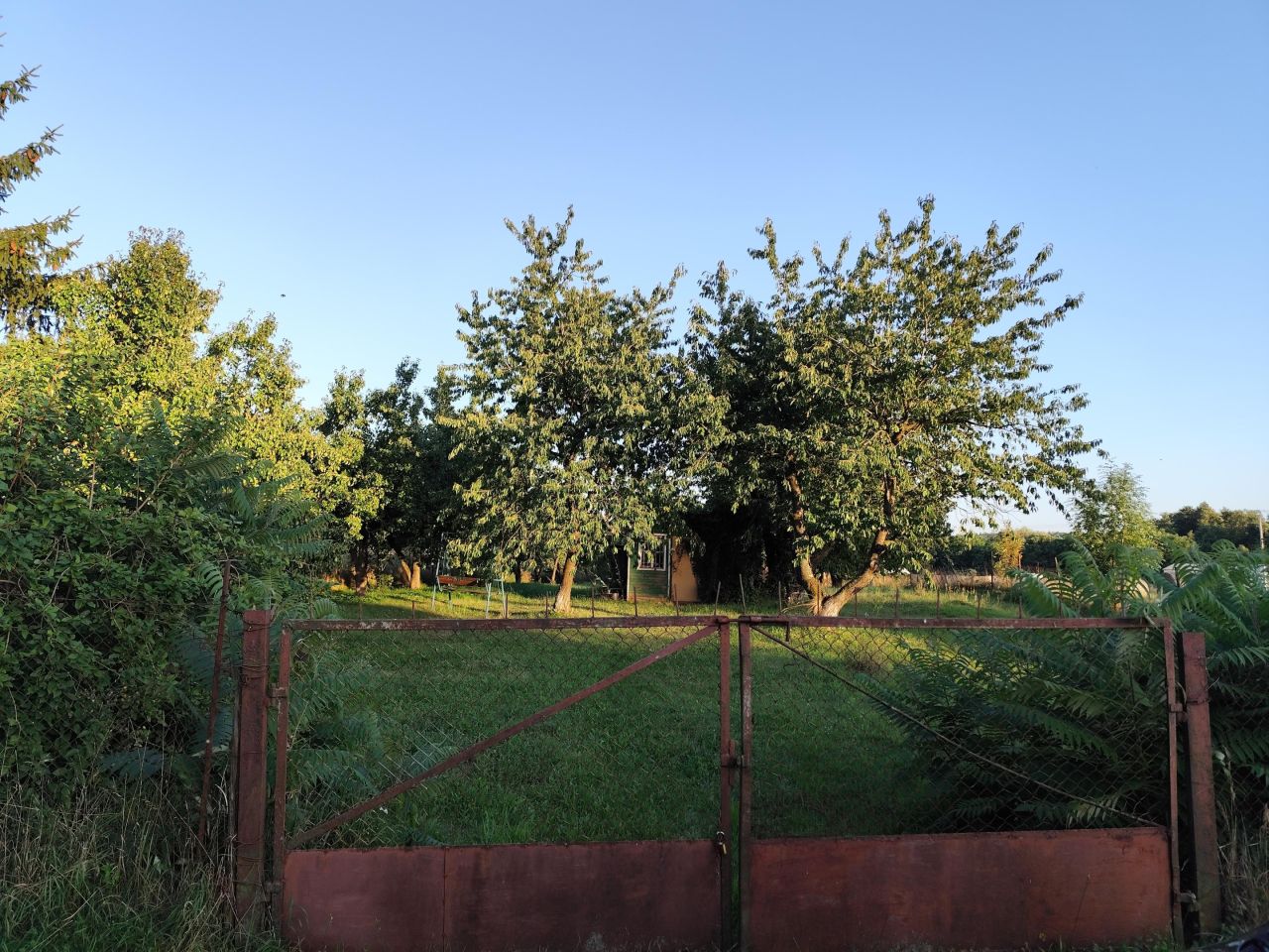 Działka rolna Suchań, ul. Młyńska. Zdjęcie 2