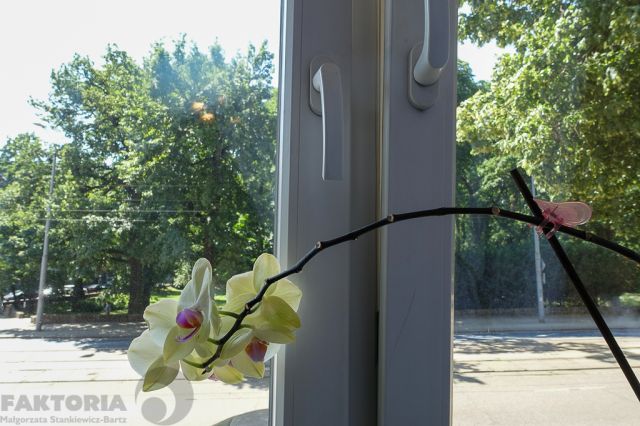 Mieszkanie 4-pokojowe Szczecin Śródmieście, ul. Jacka Malczewskiego. Zdjęcie 15