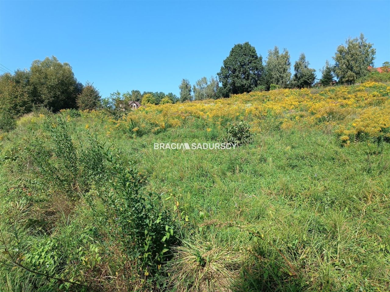 Działka budowlana Sygneczów. Zdjęcie 2