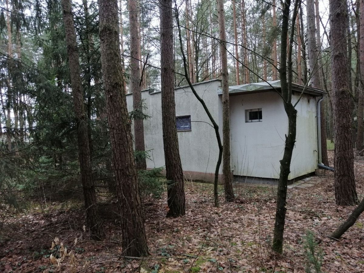 Działka leśna Włodzimierz, ul. Sosnowa. Zdjęcie 9