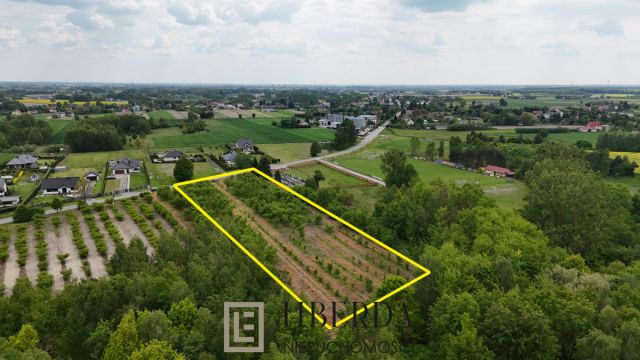 Działka inwestycyjna Ludwin. Zdjęcie 3
