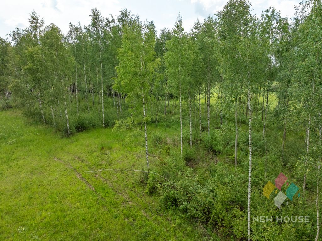 Działka rolna Barczewko. Zdjęcie 6