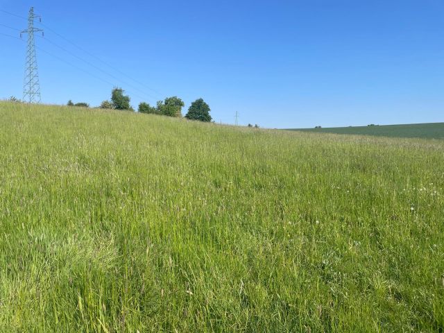 Działka rolna Żerdziny. Zdjęcie 2