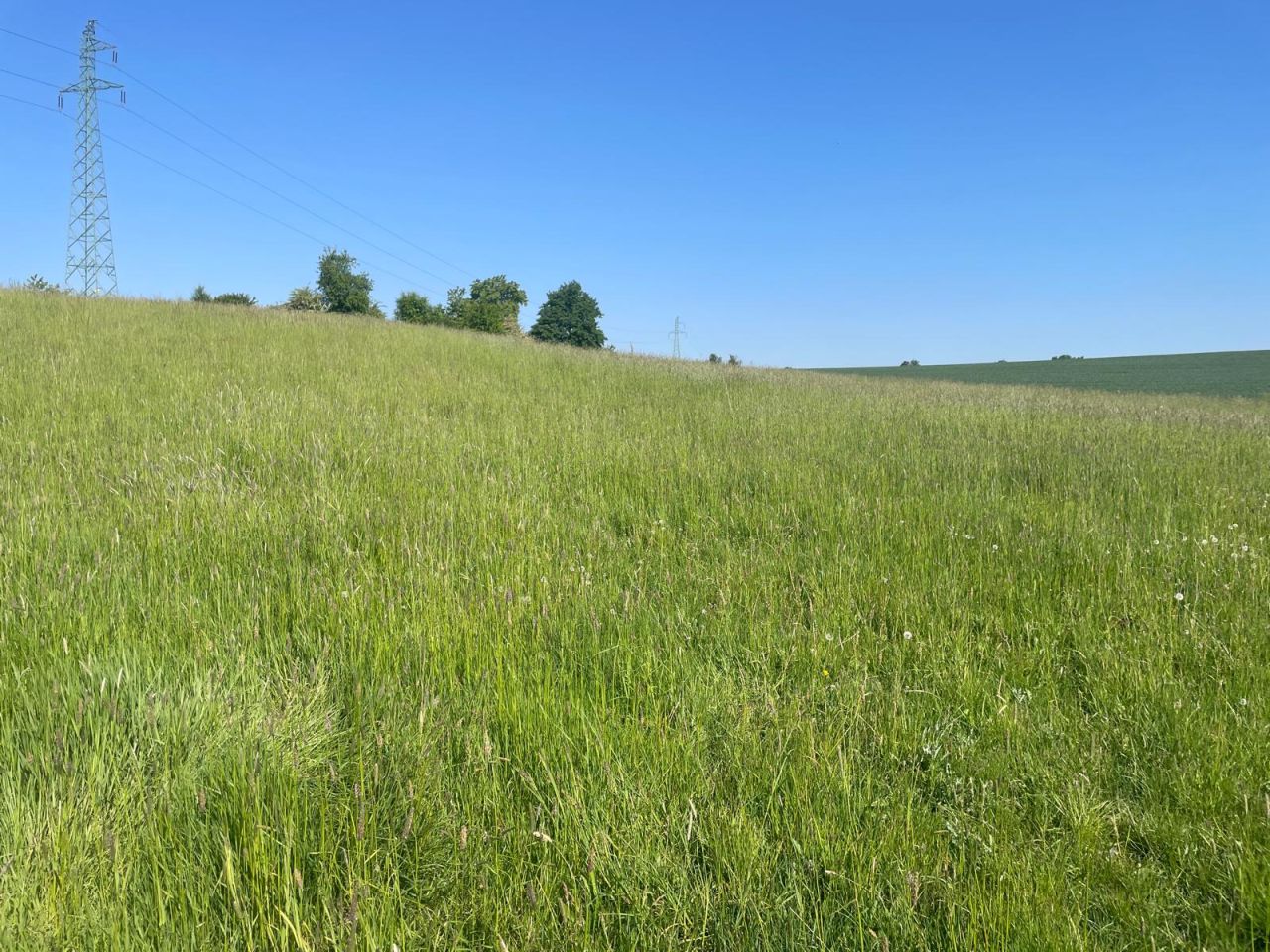 Działka rolna Żerdziny. Zdjęcie 2