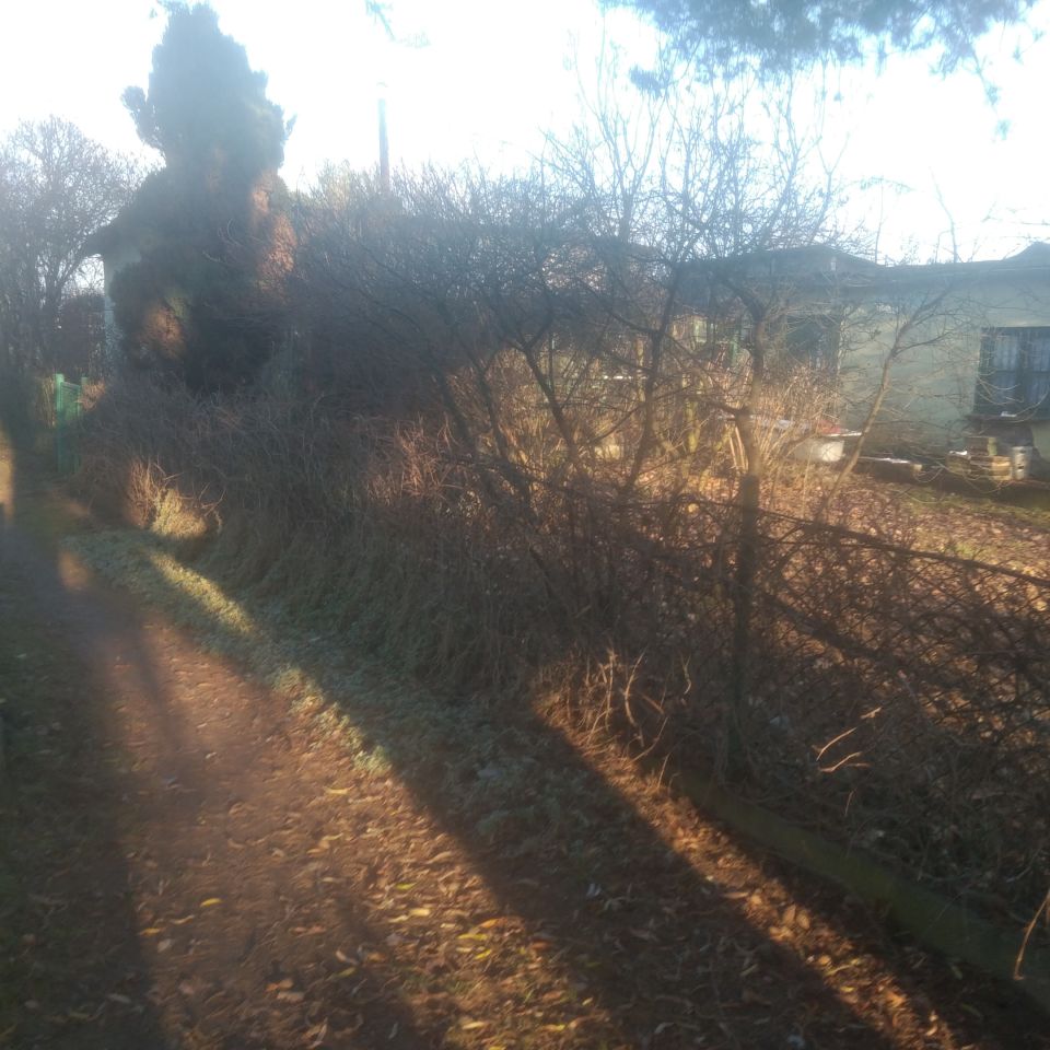 Działka rod Wrocław Ołbin, ul. Bolesława Prusa. Zdjęcie 4