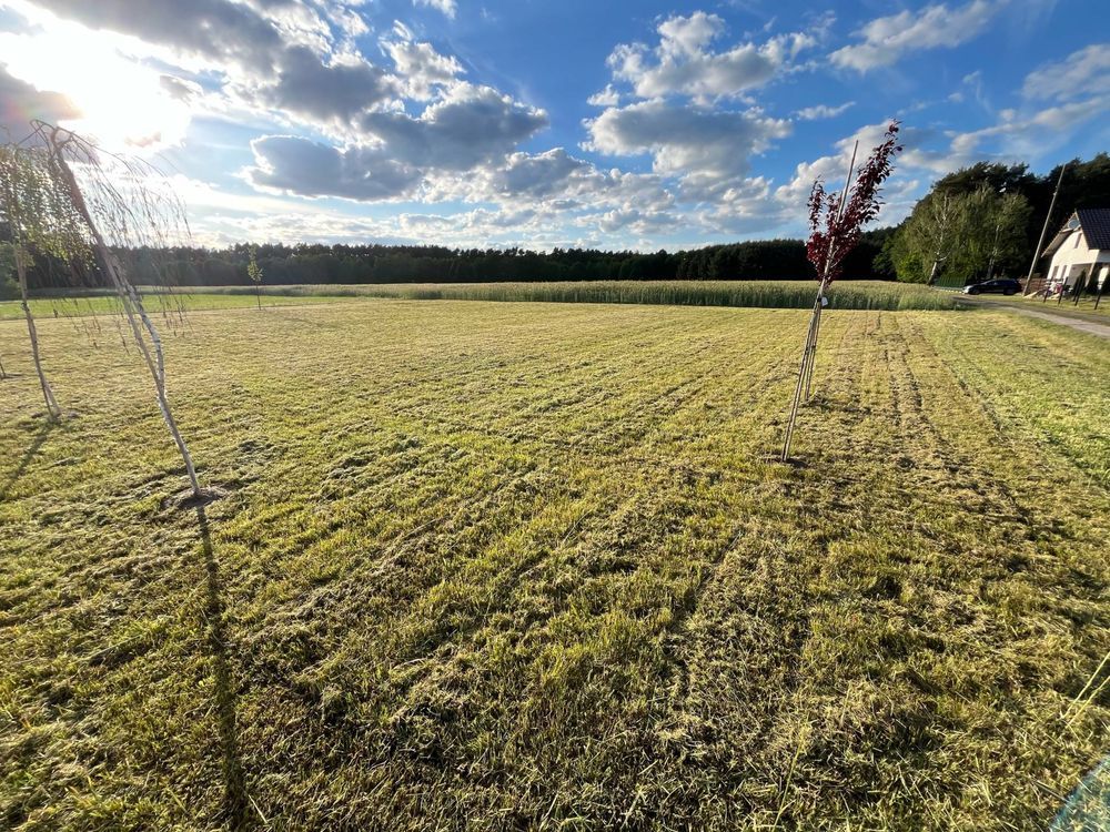 Działka rolno-budowlana Bolewicko. Zdjęcie 1