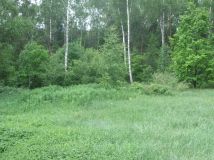 Działka siedliskowa Tymianka. Zdjęcie 3