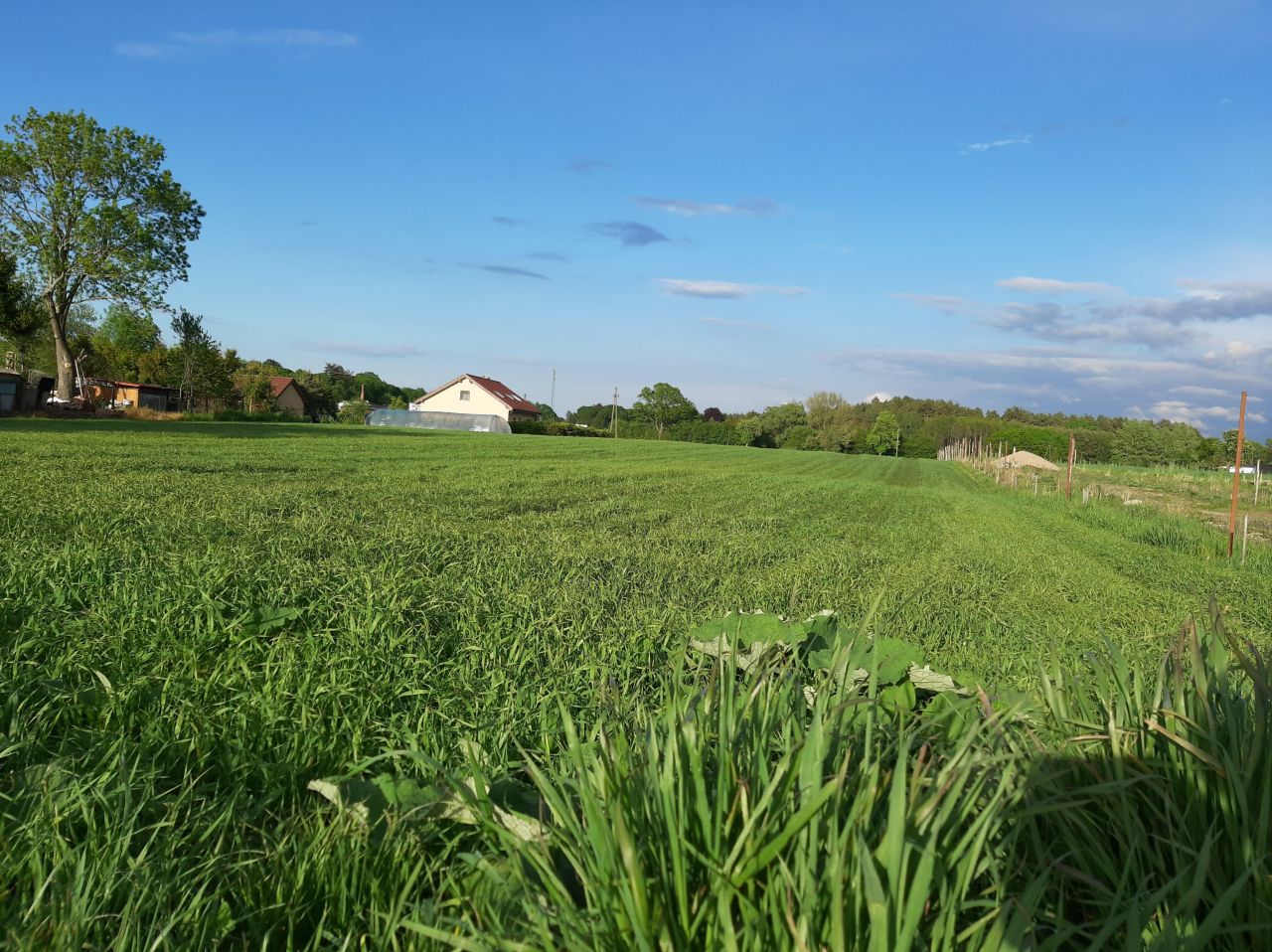 Dzia ka Pob ocie Bez Po rednika 1200 M2 dzia-ka-pob-ocie-bez-po-rednika-1200-m2