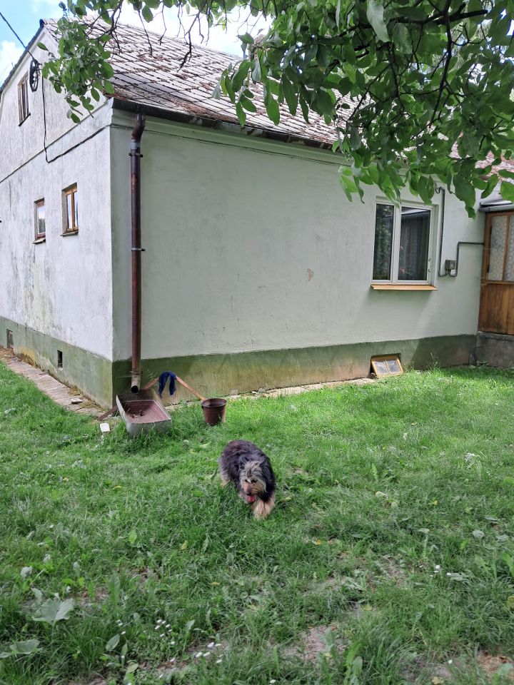 gospodarstwo, 2 pokoje Orchowiec. Zdjęcie 4