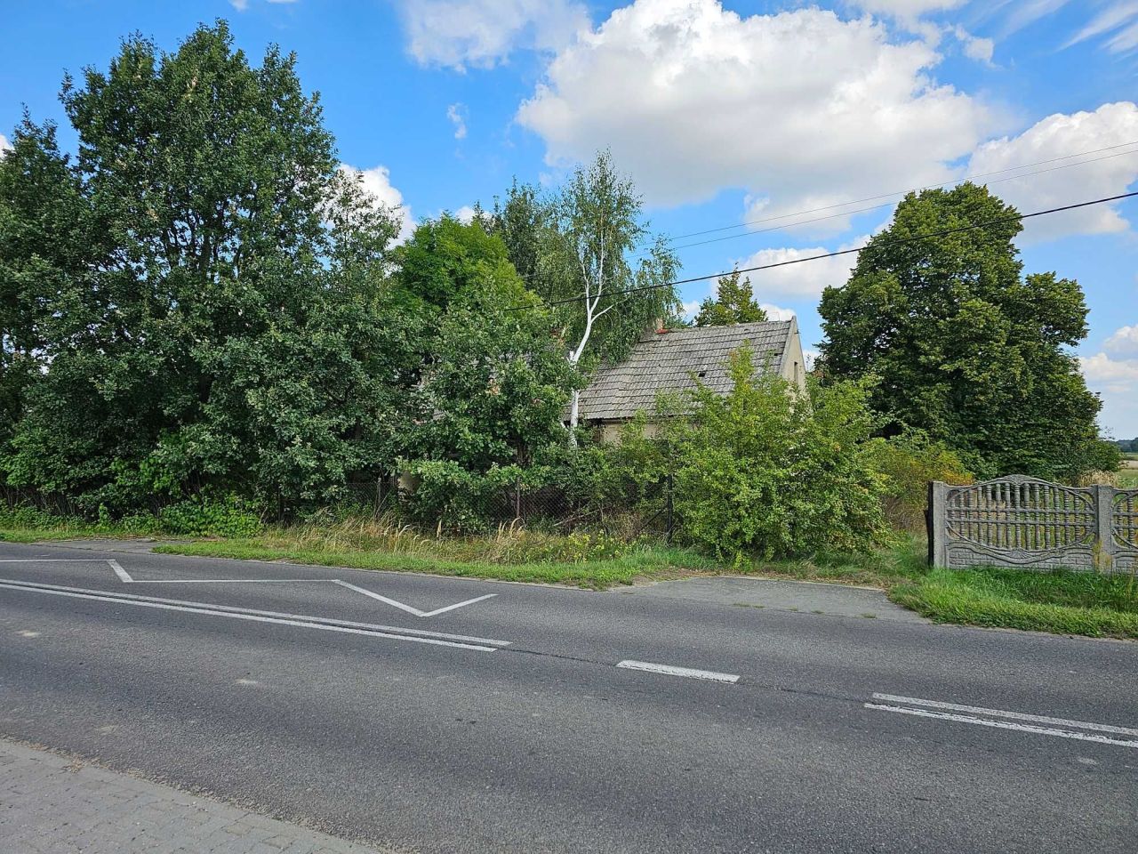 Działka rolno-budowlana Pieruchy. Zdjęcie 2