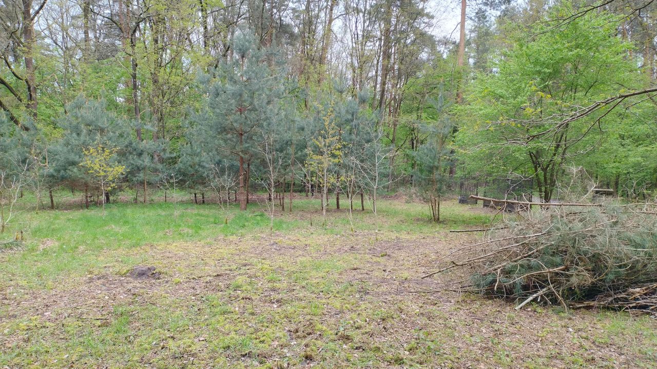 Działka budowlana Zofiówka, ul. Kolorowa. Zdjęcie 21