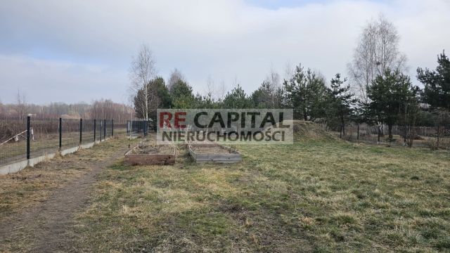 Działka siedliskowa Lipków. Zdjęcie 3