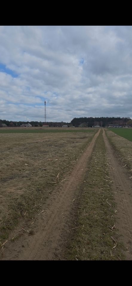 Działka budowlana Borowo. Zdjęcie 1