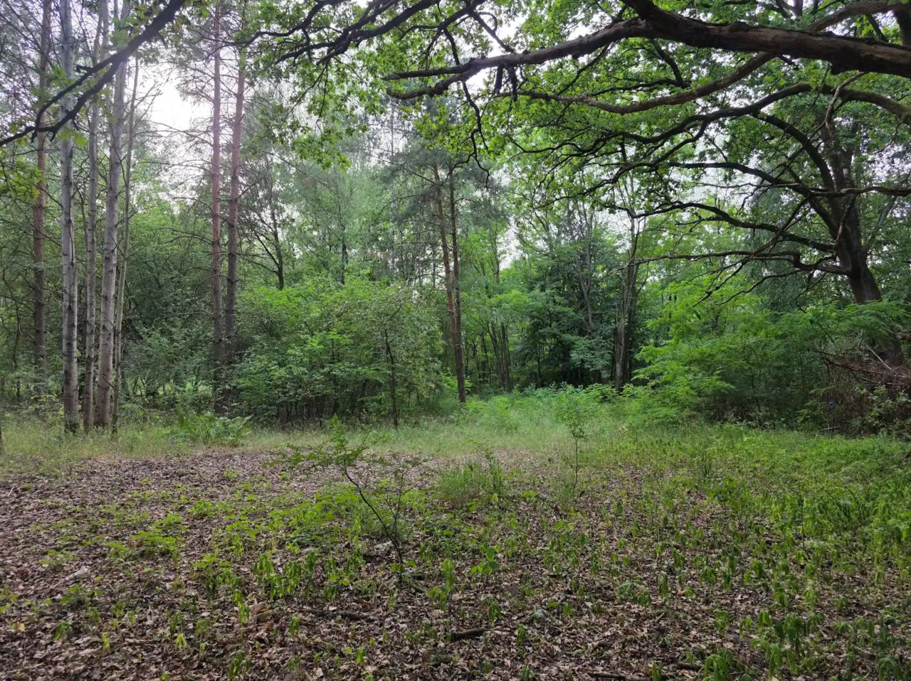 Działka inna Wilkanowo, drogi lesne. Zdjęcie 4
