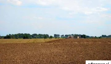 Działka na sprzedaż bez pośredników 
 
 Paparzyn - View 4