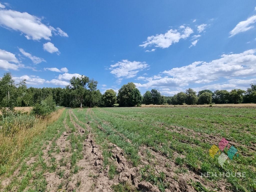 Działka siedliskowa Gil Mały. Zdjęcie 10