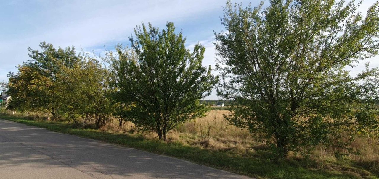 Działka budowlana Krasne. Zdjęcie 5