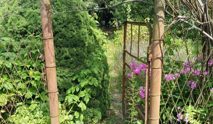 Działka rod Ruda Śląska Kochłowice