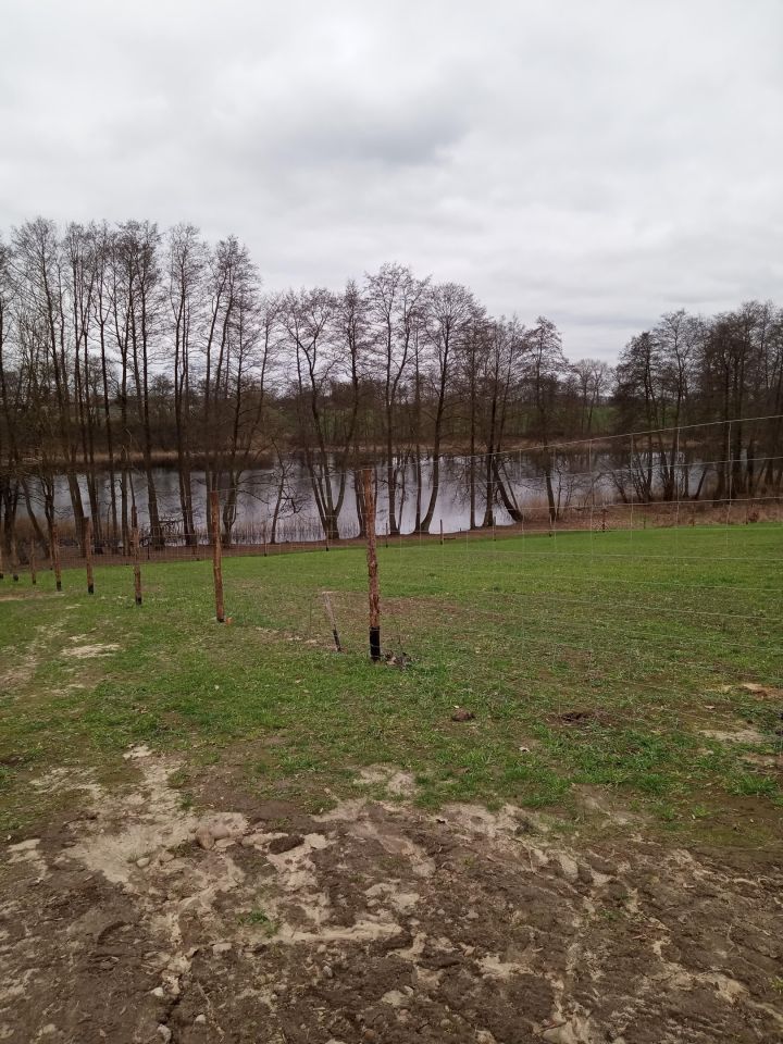 Działka budowlana Warchlino. Zdjęcie 5