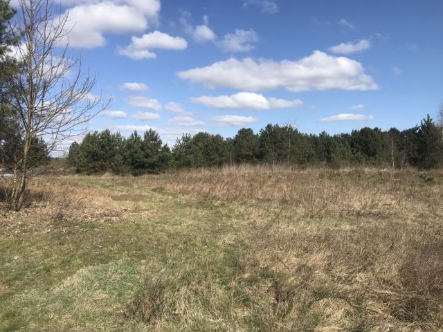 Działka rod Trzcianka. Zdjęcie 1