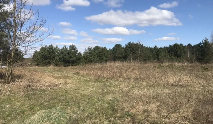 Działka rod Trzcianka