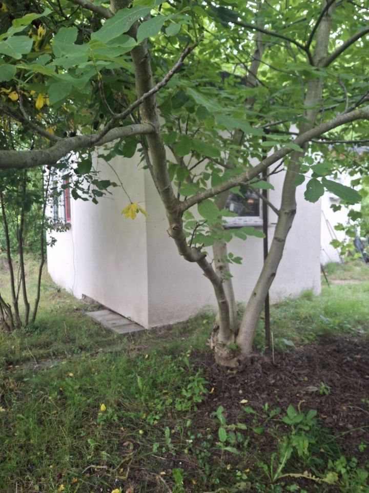 Działka rod Stęszew, ul. Kwiatowa. Zdjęcie 8