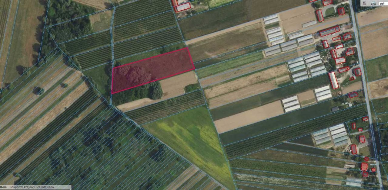 Działka rolna Przewóz Tarnowski. Zdjęcie 3