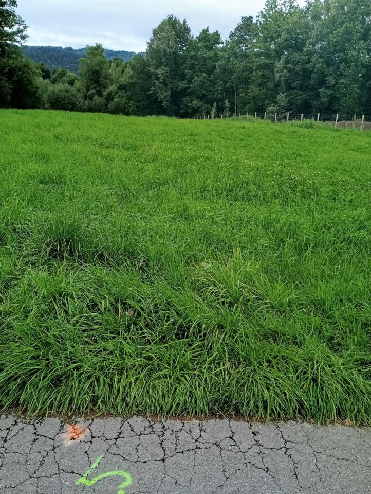 Działka budowlana Gilowice Stara Karczma, ul. Młynarska. Zdjęcie 4