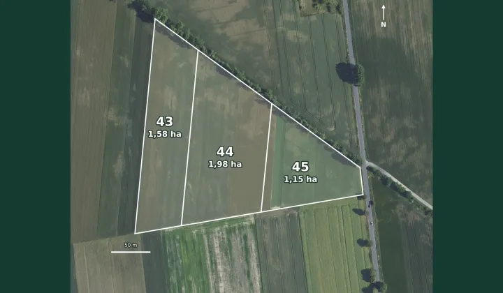 Działka rolna Wacławów, Brak
