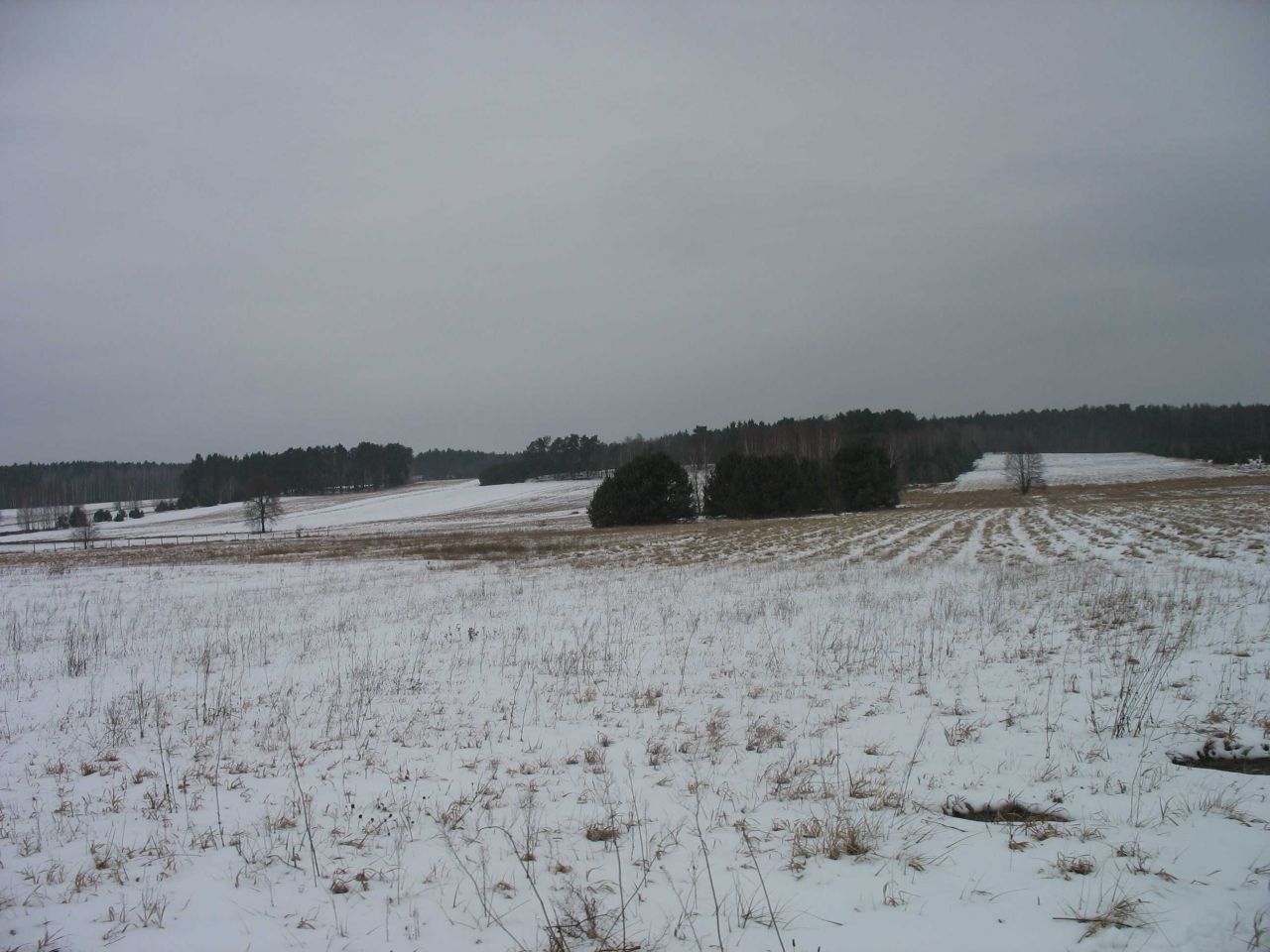 Działka budowlana Wincentynów. Zdjęcie 3